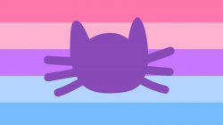 Catgender flag Meme Template