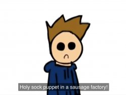 holy sock puppet in a sausage factory Meme Template