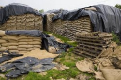 Storage loss Meme Template