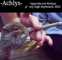 Achlys high asf squirrel temp Meme Template