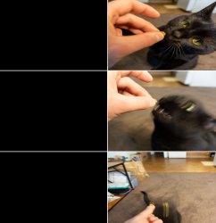 Rapidly Escalating Meme Template