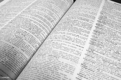 Dictionary Pages Meme Template