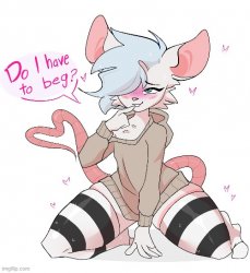 Furry Art Meme Template