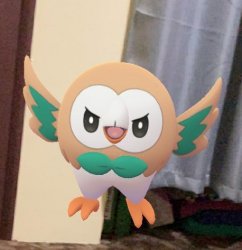 Angry Rowlet Meme Template