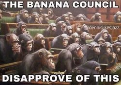 the banana council Meme Template