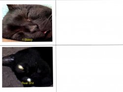Sleeping Shaq Cat Meme Template