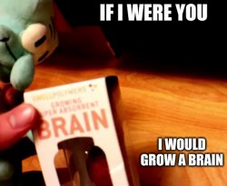 If I were you, I would grow a brain Meme Template