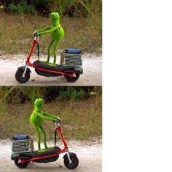 Kermit Scooter Wrong Way Meme Template