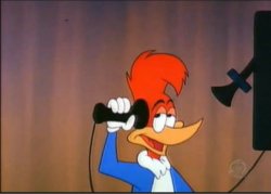 Woodpecker on Telephone Meme Template