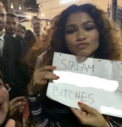 Zendaya holding sign meme Meme Template