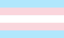 Transparent Trans Flag Meme Template