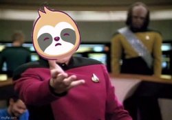 Sloth Picard wtf Meme Template