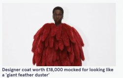 Feather Duster Coat Meme Template