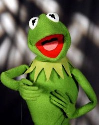 Kermit the Frog touch myself Meme Template