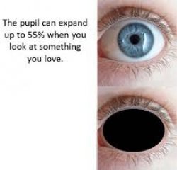 Pupil & Love Meme Template