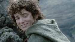 frodo dampen spirit Meme Template