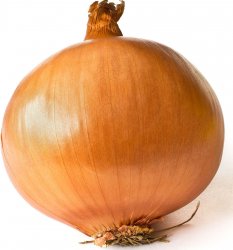 onion Meme Template