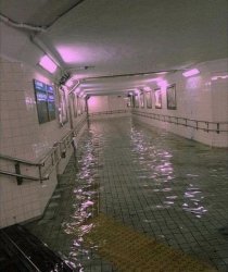 Flooded subway Meme Template