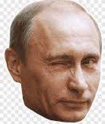 Putin head Meme Template