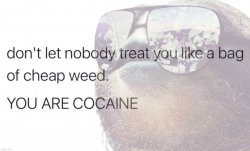 Sloth you are cocaine Meme Template