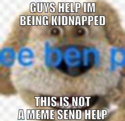 Guys Help I'm Being Kidnapped Meme Template