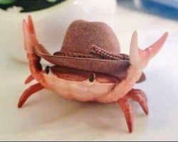 Happy crab with hat of happiness Meme Template