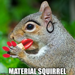 Material squirrel Meme Template