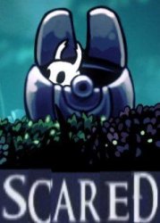 Hollow knight scared Meme Template