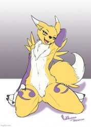 Furry Art Meme Template