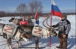Putin reindeers Meme Template