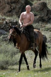 Horse Putin Meme Template