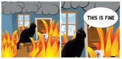 This is Fine With A Cat Instead Meme Template