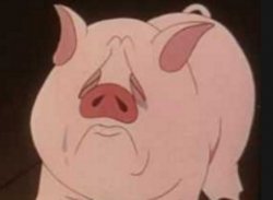 Tired Pig Meme Template