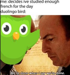 duolingo Meme Template