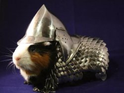 Guinea Pig Battle Armor Meme Template