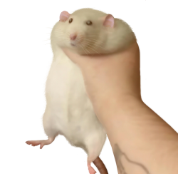 Rat Hand Meme Template