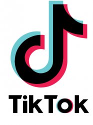 Tiktok Meme Template