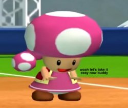 Toadette Calm Down Meme Template