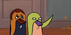 wassie everywhere Meme Template