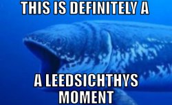 This is definitely a Leedsichthys moment Meme Template