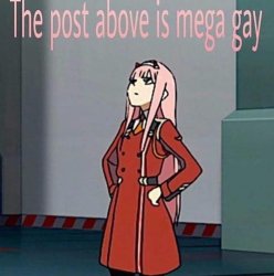 The post above is mega gay Meme Template