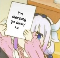 I’m sleeping go away Meme Template