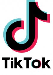 tiktok is trash Meme Template