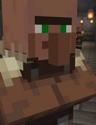 Villager Meme Template