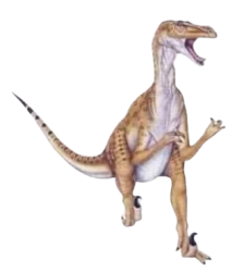 Raptor transparent Meme Template