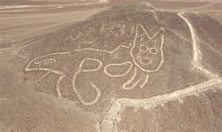 Nazca Cat Meme Template