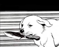 Knife Dog Meme Template