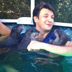 Nathan Fillion & otter friends Meme Template