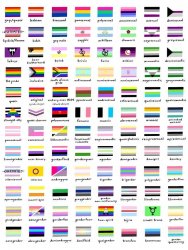 so many pride flags Meme Template