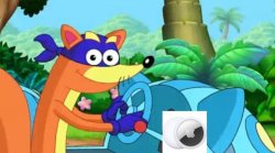 swiper no swiping Meme Template